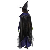 Disguise Wicked: For Good™ Elphaba Deluxe Costume - Adult, front view of a woman dressed as Elphaba from Wicked, wearing a witch's hat, black cape, purple dress, and green gloves.