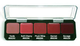 LIP COLOR PALETTE - COOL SHADES