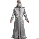 Disguise Dumbledore Harry Potter Costume- Adult, silver and gray wizard costume with embroidered details, long robes, and a matching hat, suitable for cosplay or themed events.