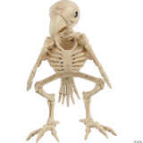 Sunstar Skeleton Parrot Prop 
