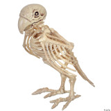 Sunstar Skeleton Parrot Prop 