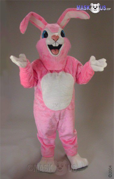 Plush Rabbit Mascot main image 1
