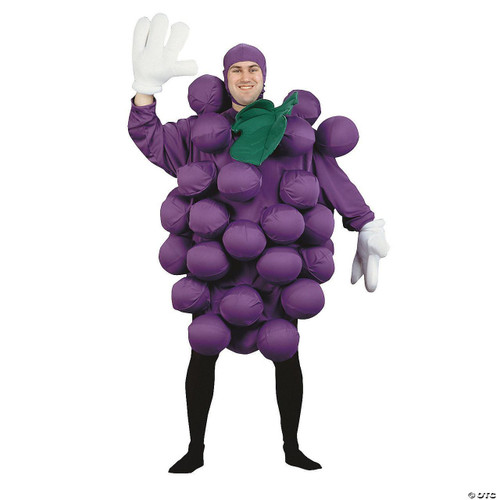 Fantasy Costumes Purple Grapes Costume -Adult Standard 