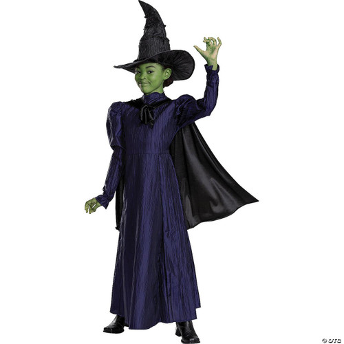 Disguise Deluxe Wicked™ Elphaba Purple Dress Costume  Disguise Deluxe Wicked™ Elphaba Purple Dress Costume