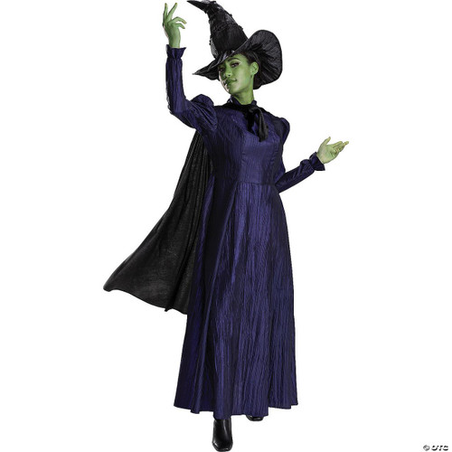 Disguise  Deluxe Wicked™ Elphaba Costume - Adult  