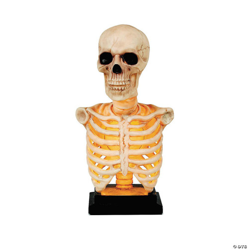 Seasons USA Skeleton Bust on Stand Halloween Tabletop Decoration - Off-White 