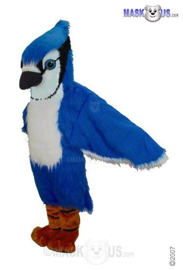 Blue Jay Mascot Costume (Purchase) 
