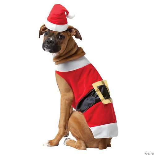 Rasta Imposta Santa Dog Costume, a cute brown dog wearing a festive Santa Claus inspired outfit with a red and white hat and a red and black coat with a gold buckle.