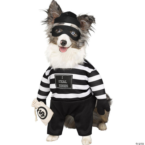 Fun World Robber Pup Pet Costume, a dog dressed as a cartoon-style robber with a striped shirt, mask, and police badge, holding a money bag.