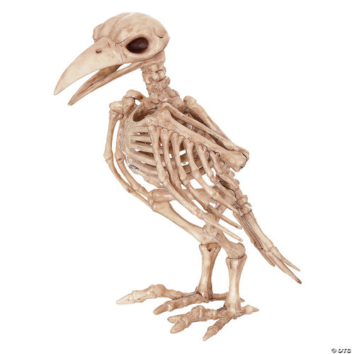 Seasons USA Skeleton Raven Decoration, beige skeletal bird with a large beak and hollow eye sockets, designed for Halloween or spooky decorations.