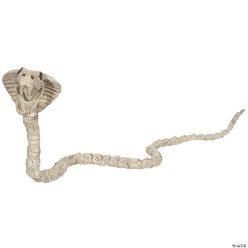 Seasons USA Skeleton Cobra Decoration, decorative skeleton snake with a cobra head for Halloween or spooky themed decor.