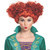 Disney Hocus Pocus Winifred Sanderson Adult Costume