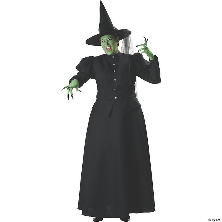 Incharacter  Wicked Witch Plus Size Costume 