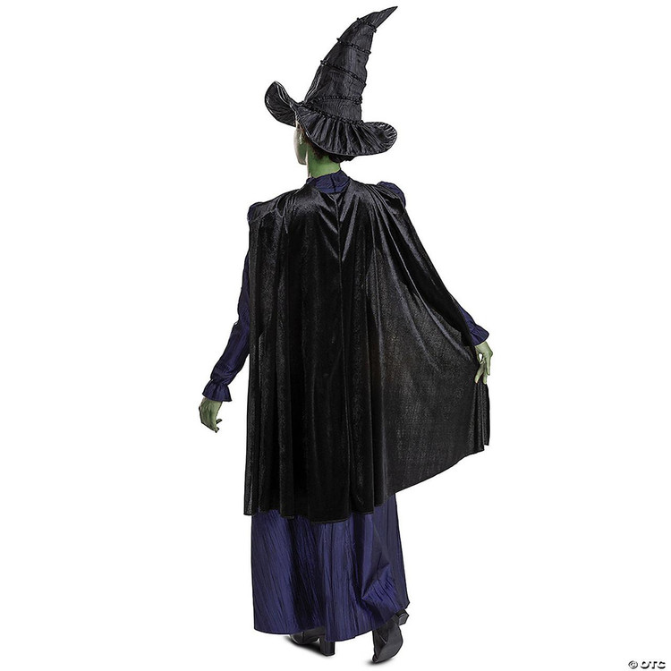Wicked™ Elphaba Deluxe Costume - Adult - FantasyCostumes.com