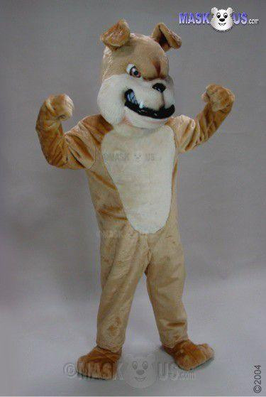 Mask US Tan Bulldog Mascot Costume ( Rental)  