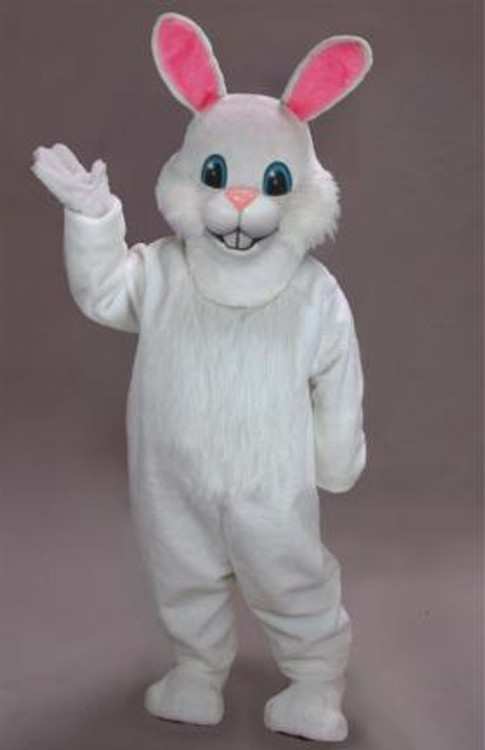 Bunny Costume DIY Ideas for Kids - Kids Art & Craft