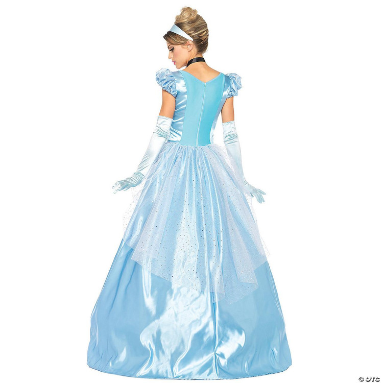 Cinderella Classic Costume - Adult - FantasyCostumes.com