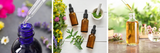 Tinctures 101: Choosing the Right Glass Bottles and Droppers for Your Herbal Products