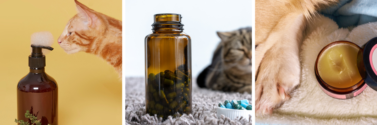 Image showcasing Packaging Solutions for Animal and Pet Care - Discount Vials
