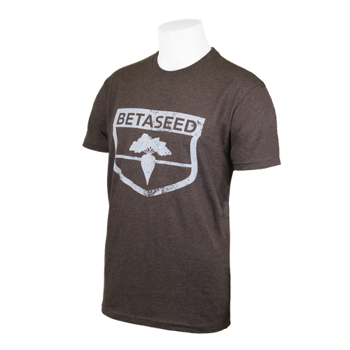 Unisex Next Level Apparel® CVC Tee - Espresso