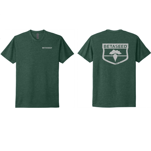 Unisex Next Level Apparel® CVC Tee - Heather Forest Green