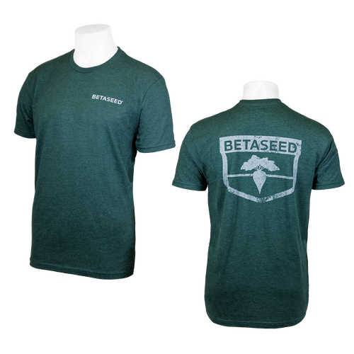 Unisex Next Level Apparel® CVC Tee - Heather Forest Green