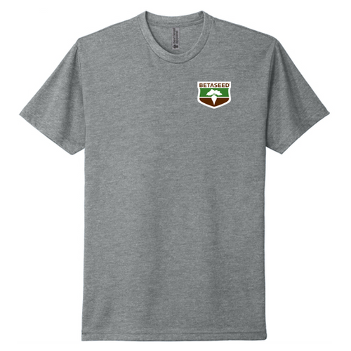 Unisex Next Level Apparel® CVC Tee - Dark Heather Grey