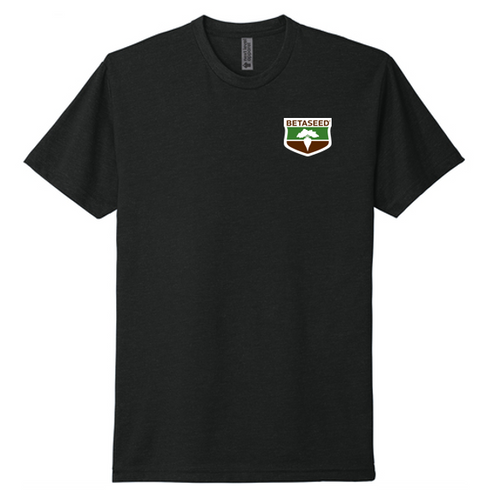 Unisex Next Level Apparel® CVC Tee - Black