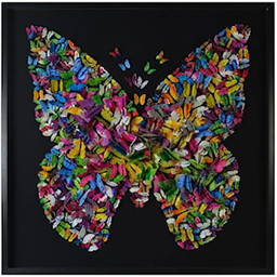 Papillon Framed Art Shadow Box