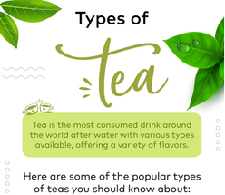 Types of Tea
