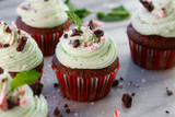 Chocolate Cupcakes with Mint Buttercream and a Peppermint Chocolate Crunch