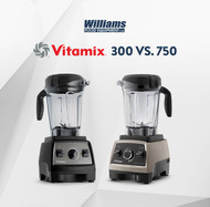 Finding The Right Blender For You: Vitamix Pro 300 vs. 750