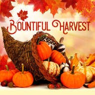 The Bountiful Harvest