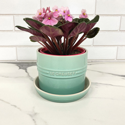 Le Creuset - Sage Herb Planter with Tray