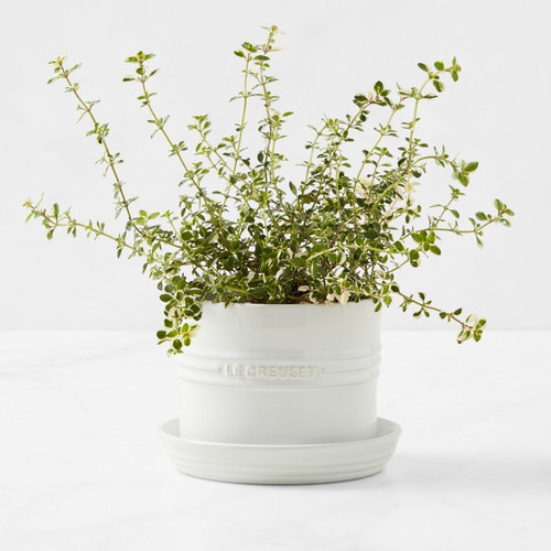 Le Creuset - White Herb Planter with Tray