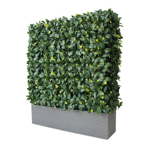 BUM - 6' Hedge Planter Set - P-BUM-HEDGE 6