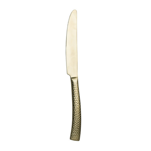 Varick - Malcolm 9" Brushed Champagne Gold Dinner Knife (12 Per Case) - 5733SX042