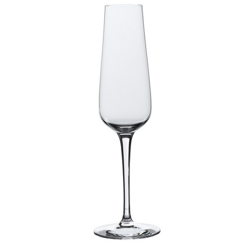 Rona - Invitation 8.5 oz Champagne Flute (24 Per Case) - 4813R284