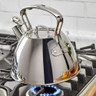 All Clad - 2 Qt Tea Kettle - K2432054