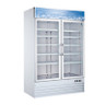 Omcan - 53" 2 Door Swinging Glass Freezer - 50075