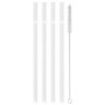 Zwilling - Sorrento Glass Straws 5PC Set