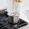All-Clad - 2 QT d5 Brushed Stainless Saucepan with Lid - BD55202