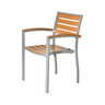 BUM - Marco Silver/Teak Polywood Armchair - A-MARCO-516A-PW-TS