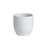 Varick - 2 Oz White Cafe Porcelain Sake Cup (12 Per Case) - 6900E565