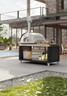 Fontana - Mangiafuoco Stainless Wood-Fired Oven - FTMF-S