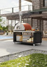 Fontana - Napoli Red Hybrid Propane & Wood Oven - FTNAP-H-R
