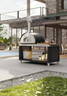 Fontana - Firenze Grey Hybrid Propane & Wood Oven - FTFIR-H-A