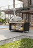 Fontana - Firenze Stainless Hybrid Propane & Wood Oven - FTFIR-H-S
