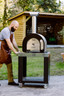 Fontana - Mini Portable Pizza Oven Desk - FTPD-MINI