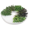 Salton - Black 5 Tray Dehydrator